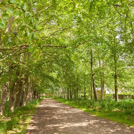 Like House 9 B Feriehus