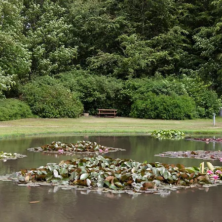 Like House 9 B Varde